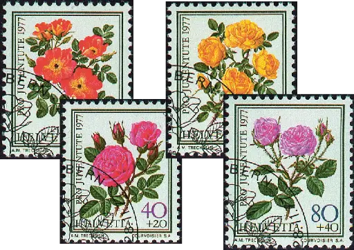 [7390.261.02] 1977, Rosen II