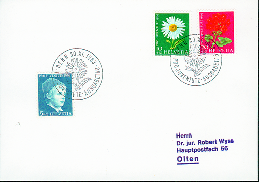 [7396.200.02] 1963, Knabenbildnis, Wiesen- und Gartenblumen