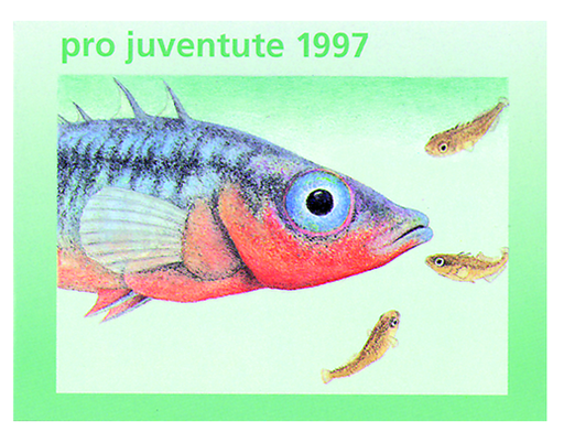 [7596.46.02] 1997, Stichling