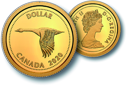 [7997.2020.13] Wildgans, Canada