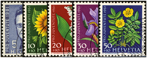 [7390.188.02] 1961, Bildnis Jonas Furrers, Wiesen- und Gartenblumen